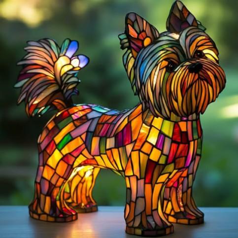 Glad yorkshireterrier